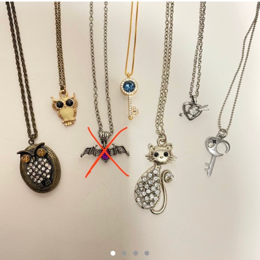 Assorted Necklaces - image 1